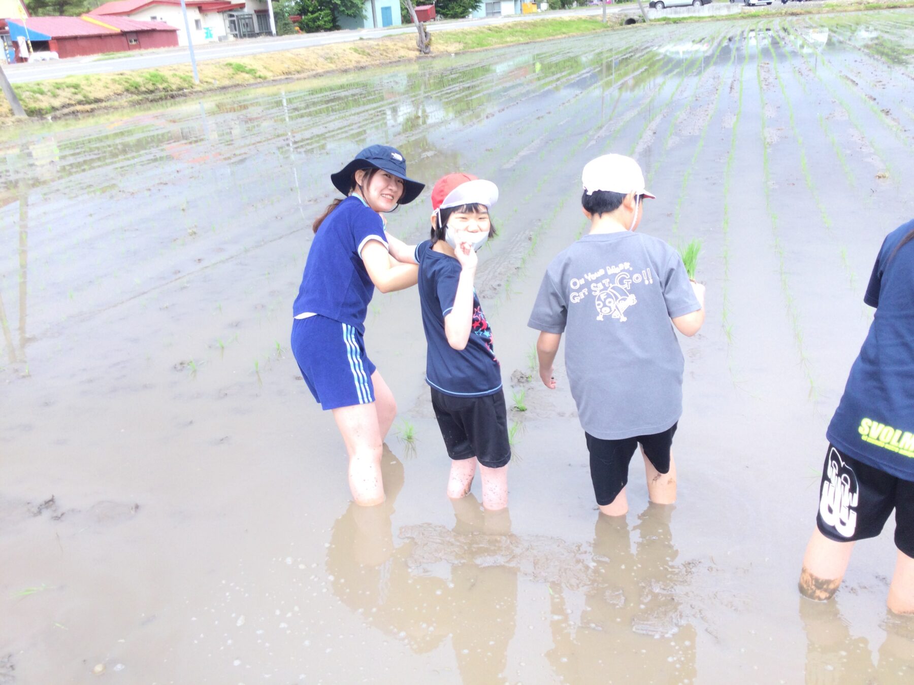 ５年生田植え 5枚目写真