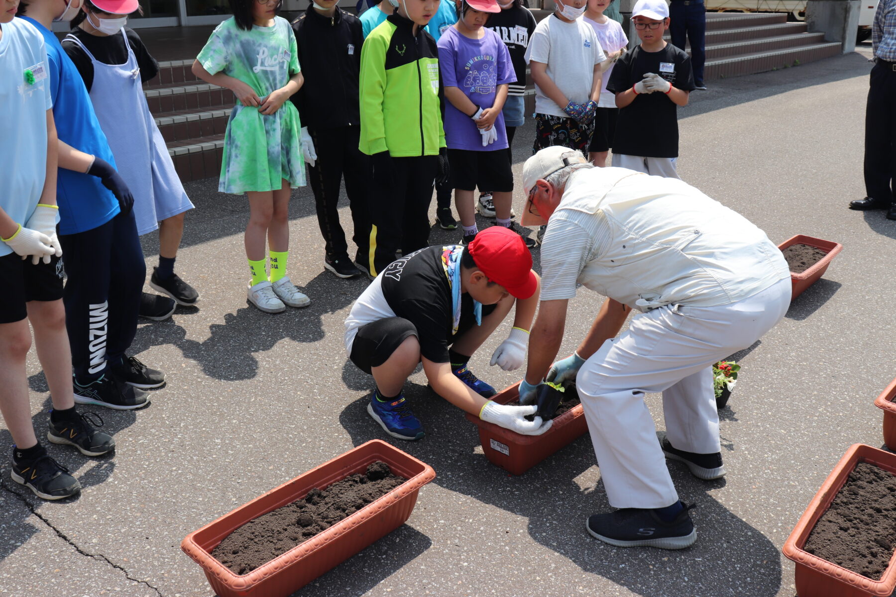 令和６年度　人権の花運動 2枚目写真