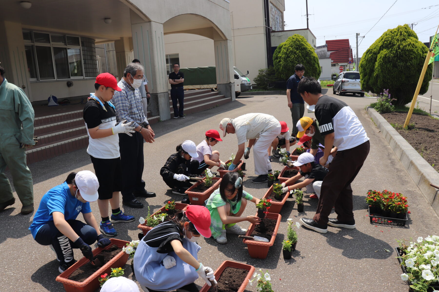 令和６年度　人権の花運動 4枚目写真