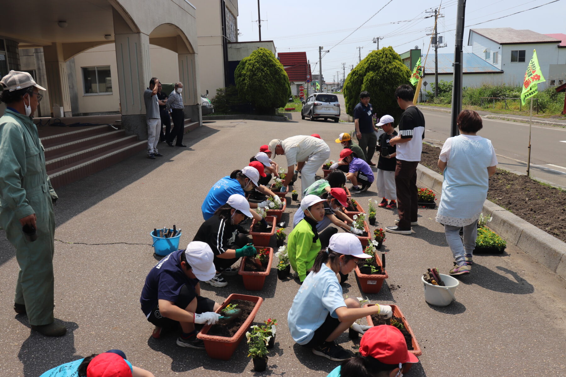 令和６年度　人権の花運動 5枚目写真