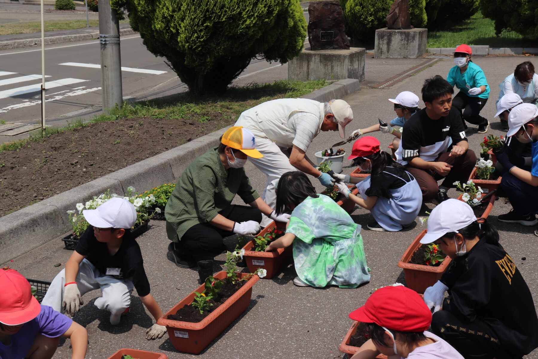 令和６年度　人権の花運動 6枚目写真