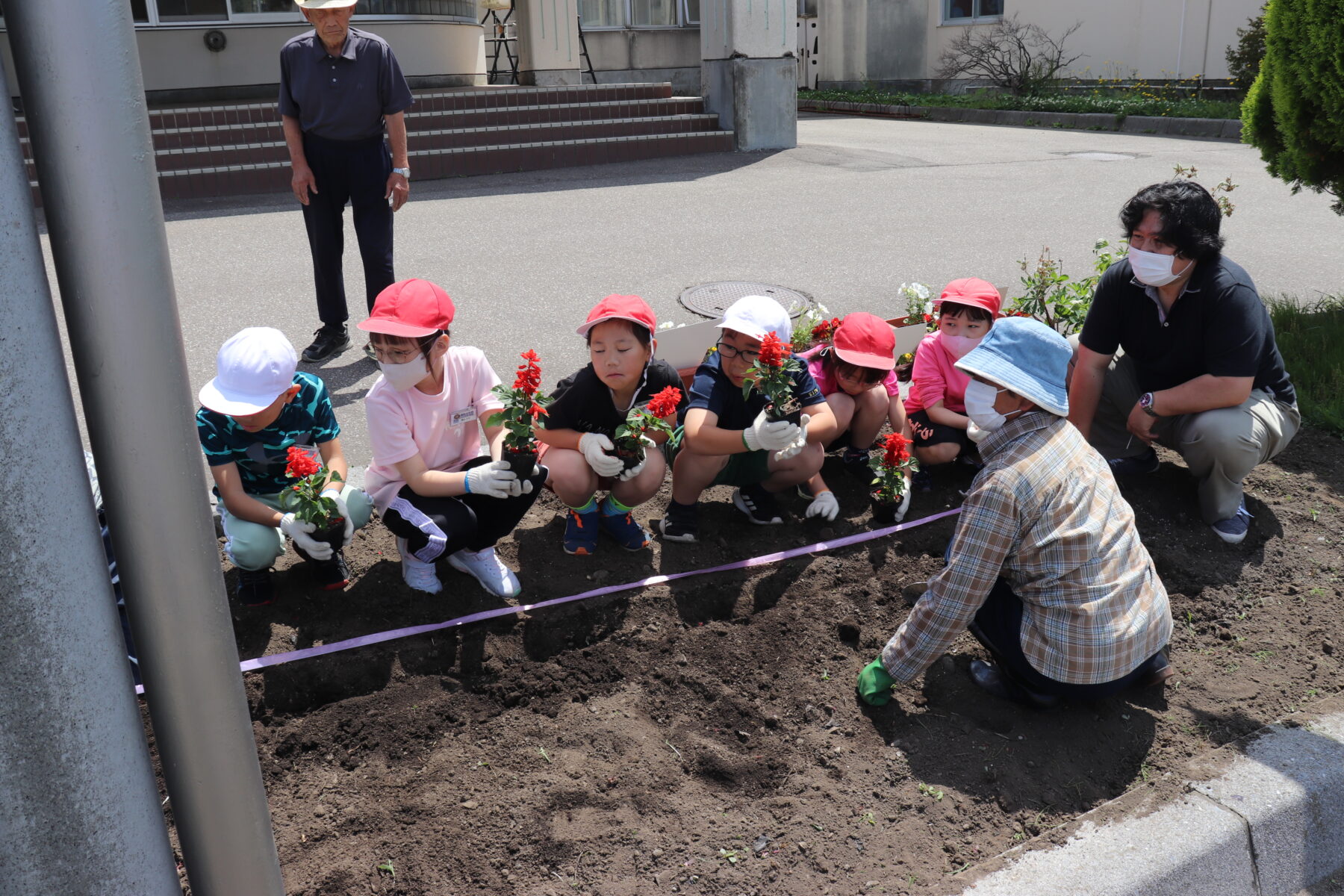 老人クラブ花壇づくり 2枚目写真