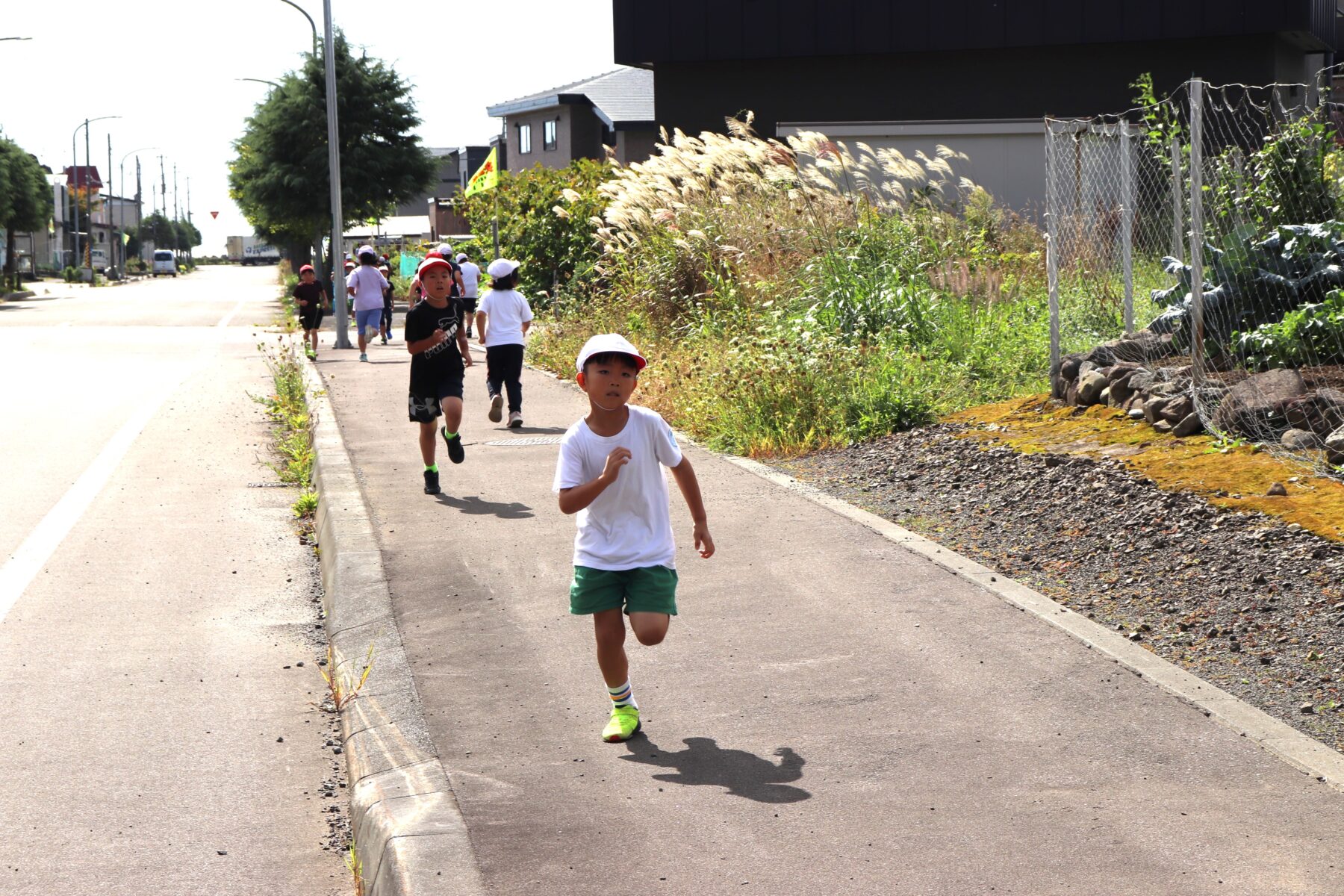 マラソン試走会・記録会 3枚目写真