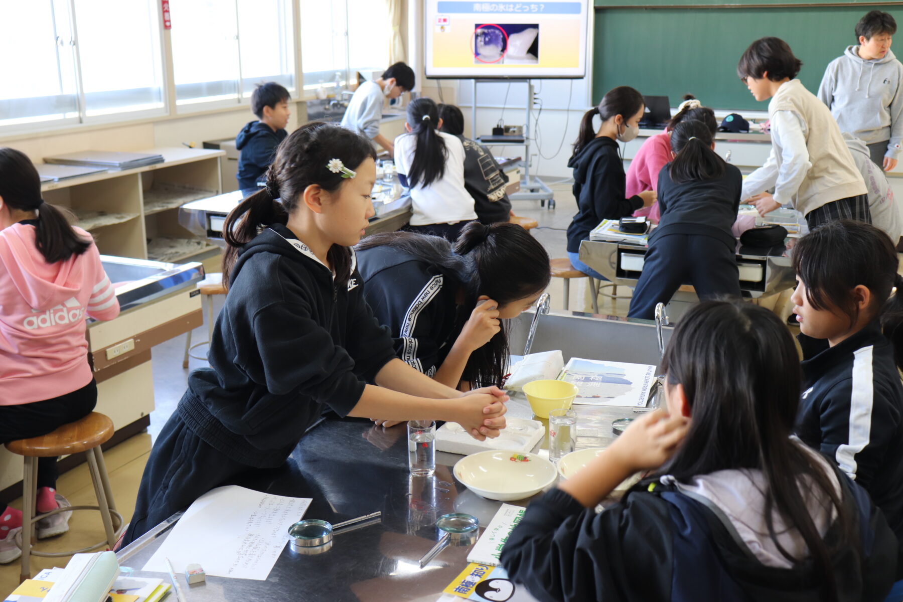 ５・６年生合同学習（南極授業） 7枚目写真