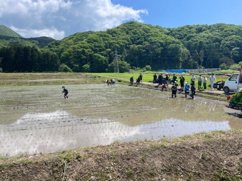 黒米田植え（５年生）