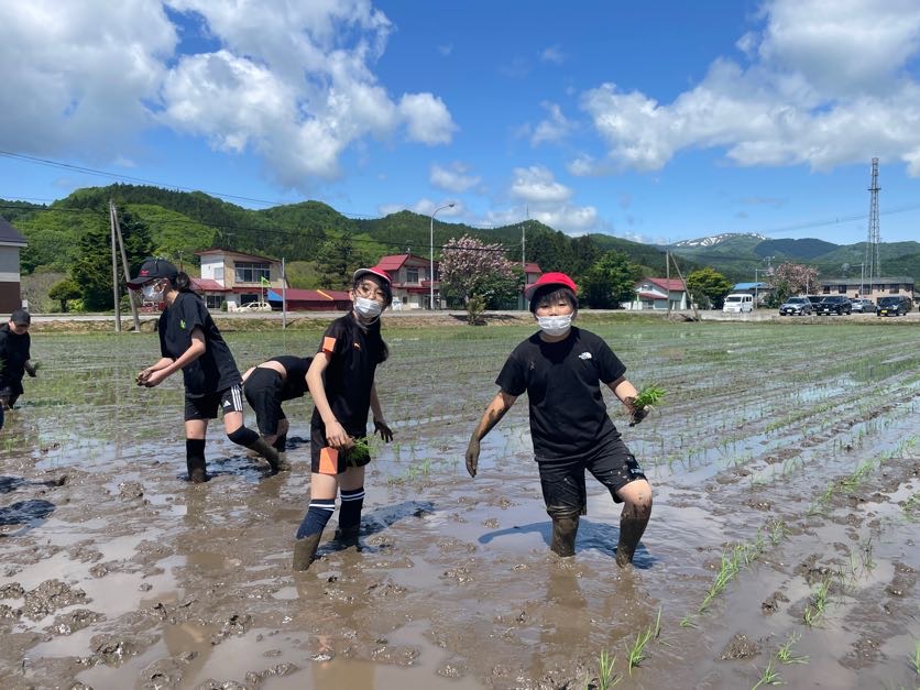 黒米田植え（５年生） 3枚目写真