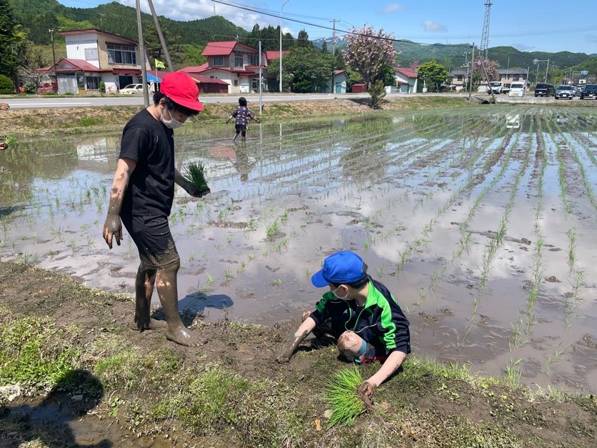 黒米田植え（５年生） 7枚目写真