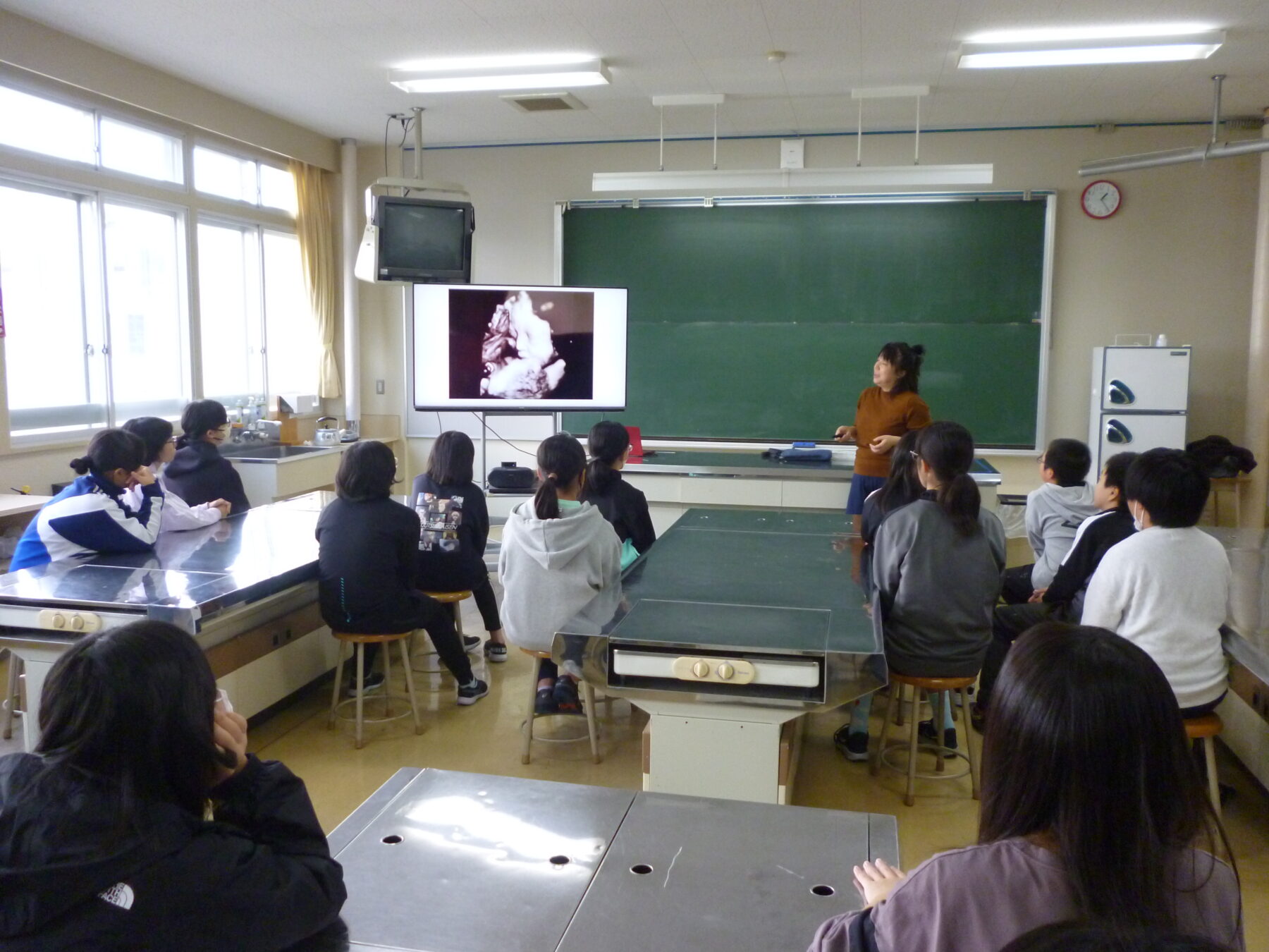 生命の大切さを学びました 2枚目写真