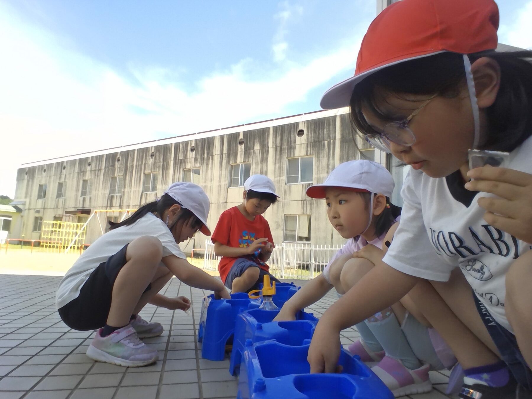 ミニトマトの種を植えました 5枚目写真
